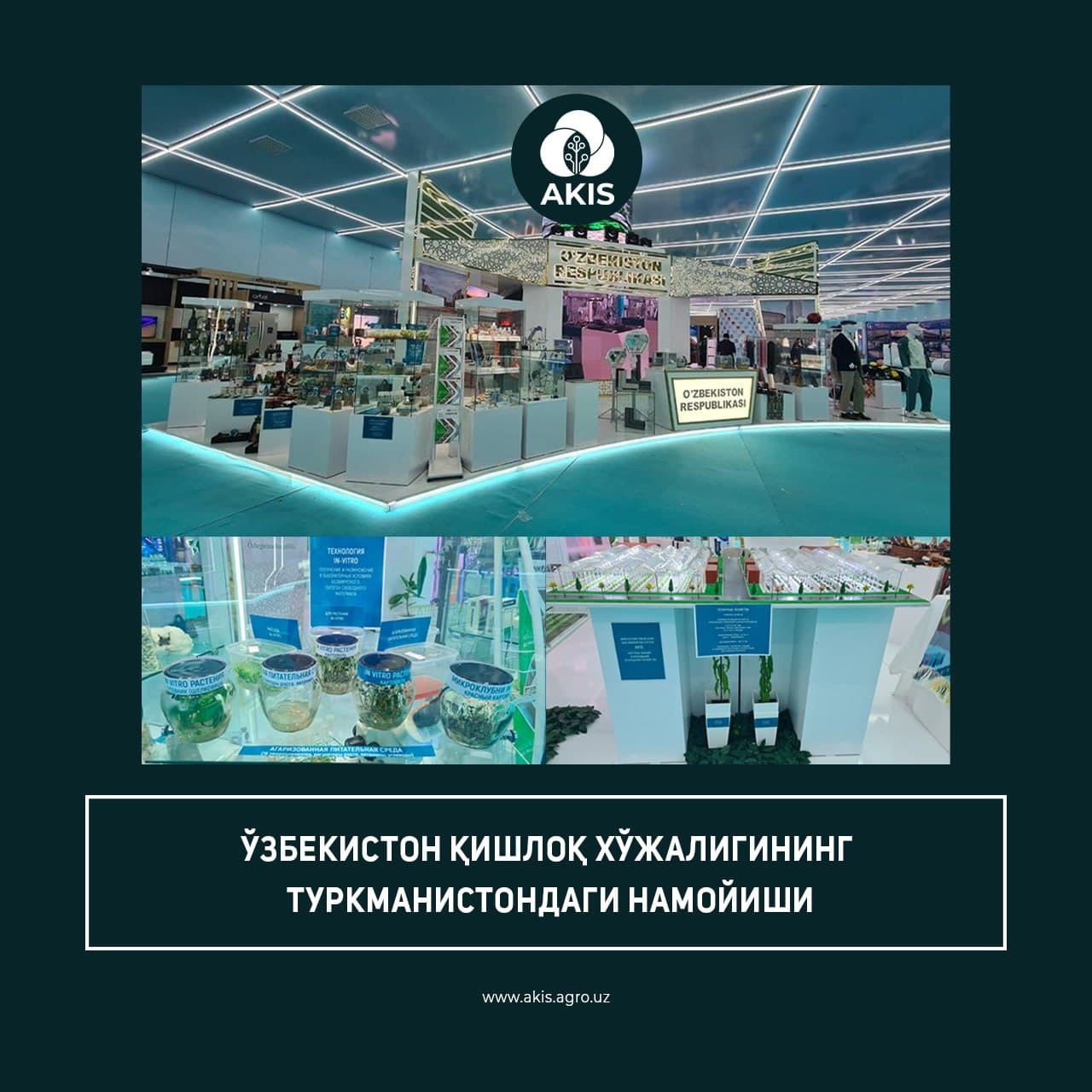 Ўзбекистон қишлоқ хўжалигининг Туркманистондаги намойиши